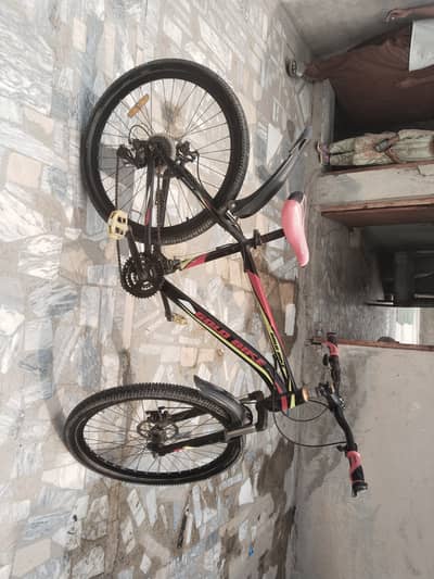 Mountain bike