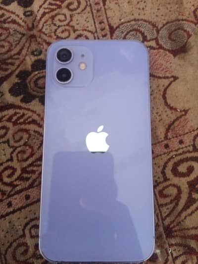 Apple iPhone 12
