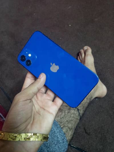 Apple iPhone 12