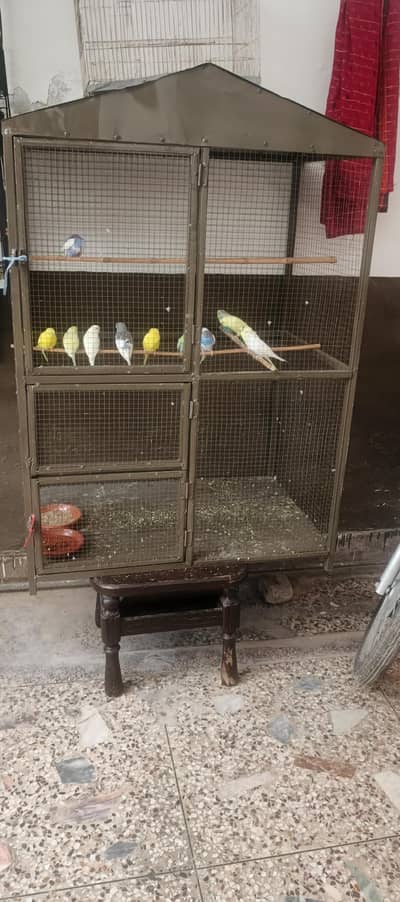 Cage for sell with birds