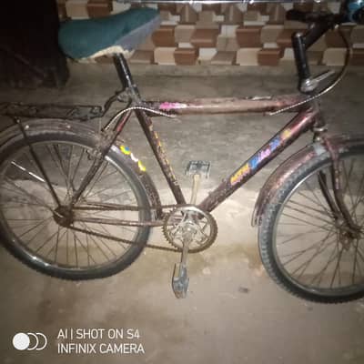 Mint bike 24