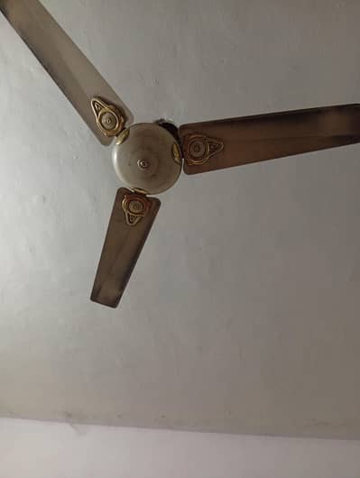 Gfc Ceiling fan 56 size