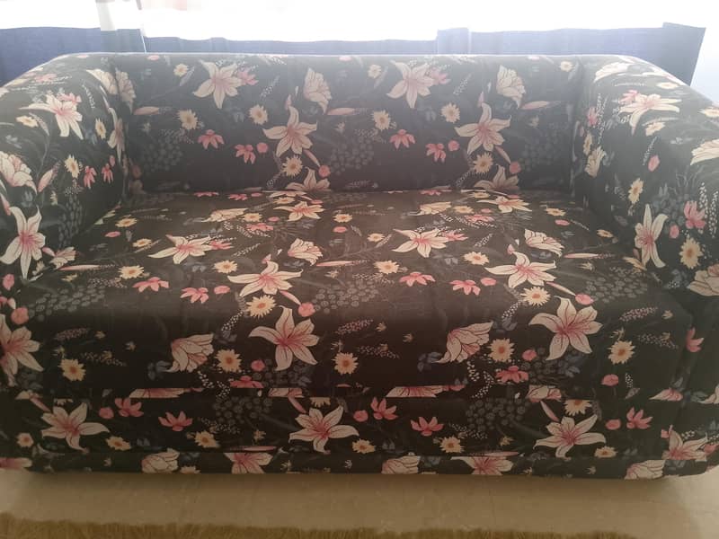 2 Seater Sofa 2