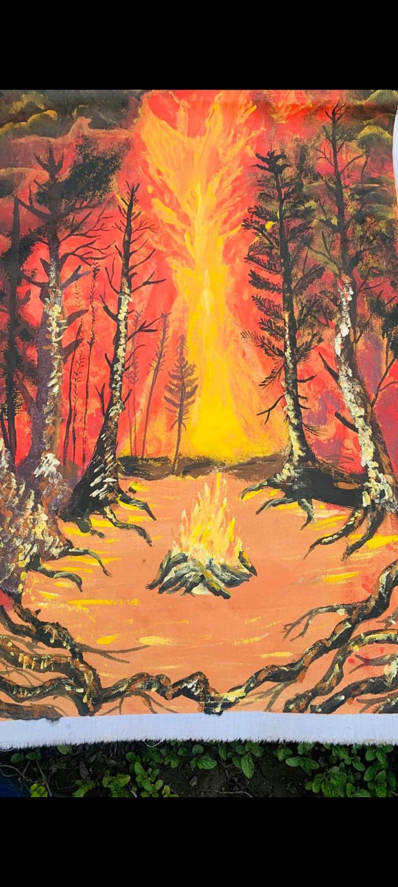 forest fire 0