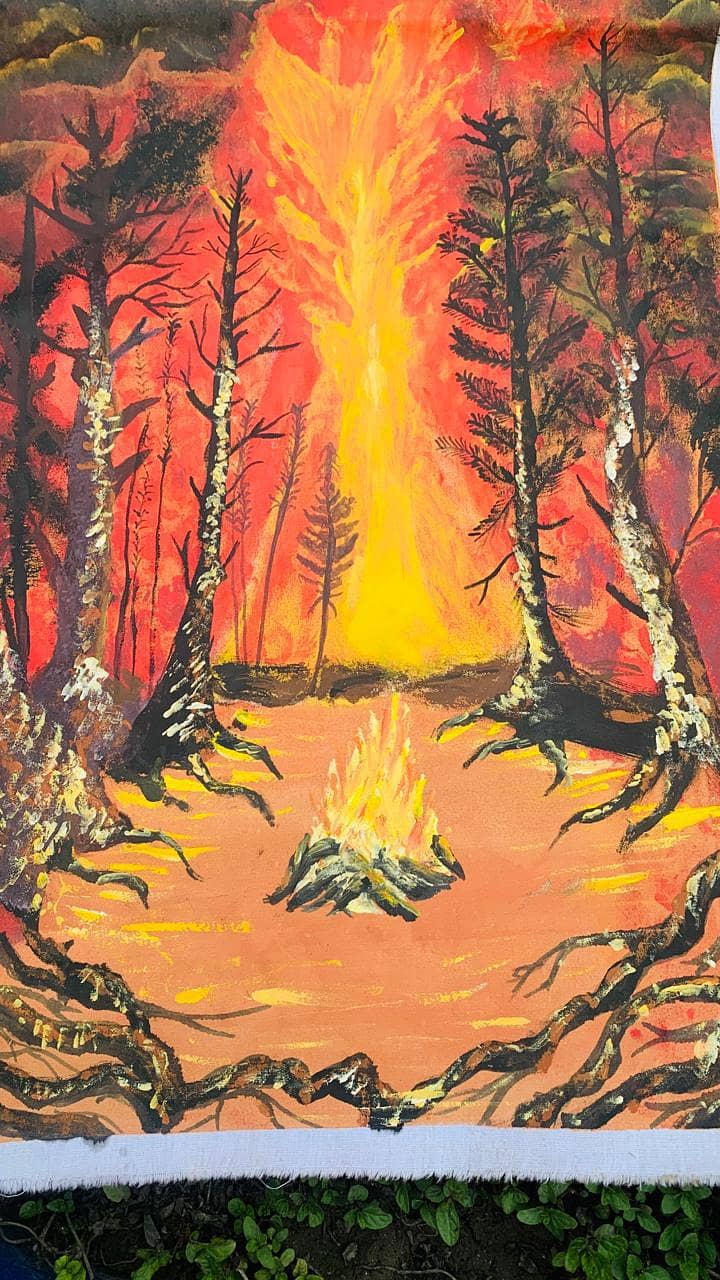 forest fire 1