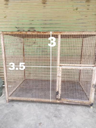 WOODS & IRON CAGES