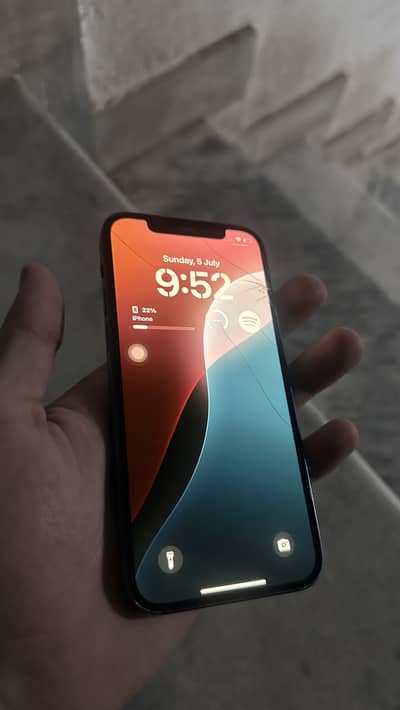 iPhone 12 Factory Unlock