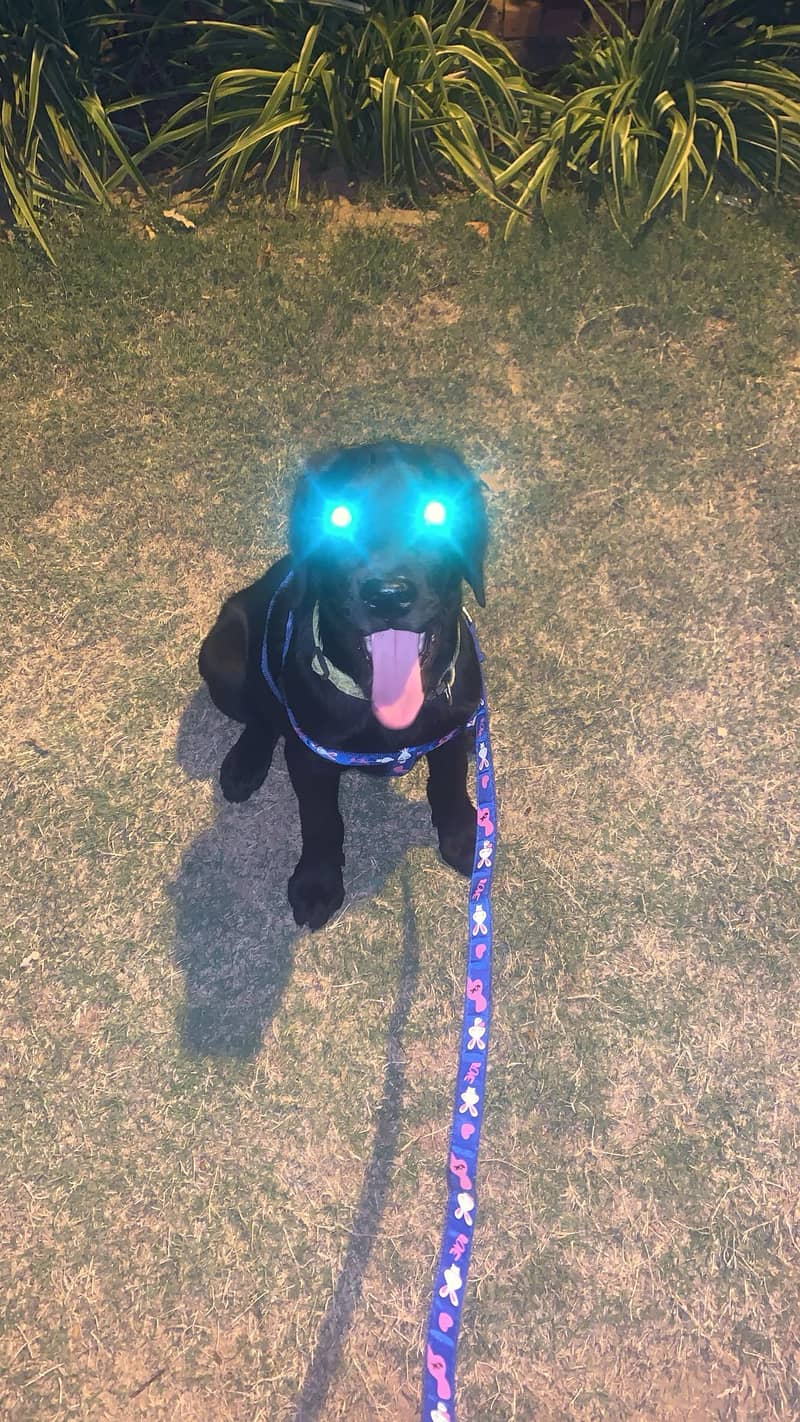 Oooooo 2