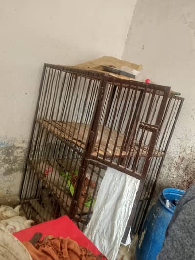 urgent sale