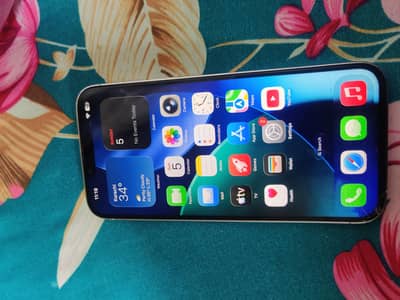 Apple iPhone 13 Pro Max only panel