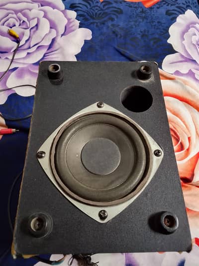 Perfect Mafia 22W RMS Power