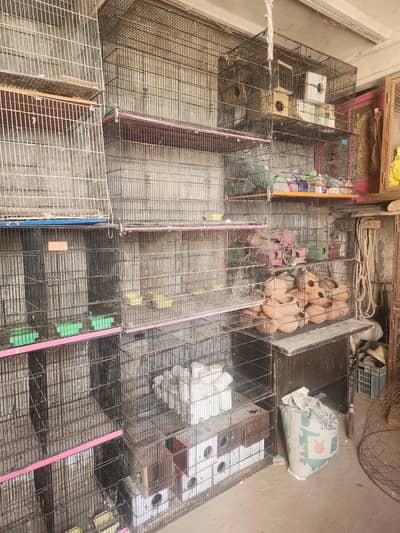 Cages for birds
