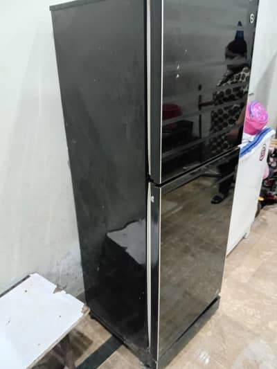 Pel Fridge Best Cooling for sale