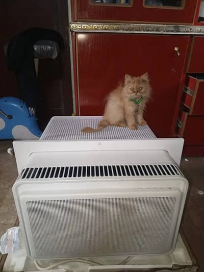 Window AC – 100% Working Condition