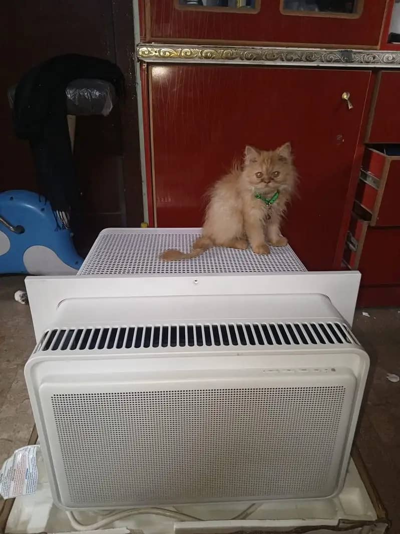 Window AC – 100% Working Condition 0