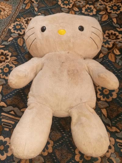 white cat