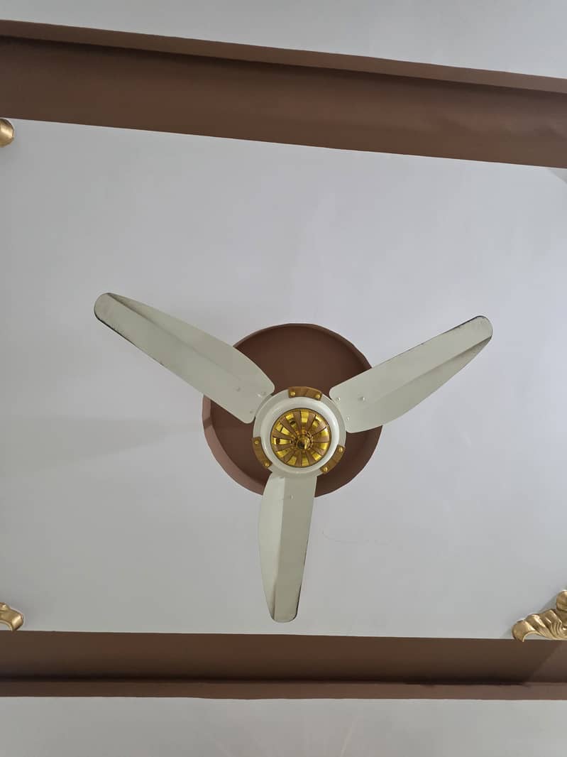 Ceiling Fan 2