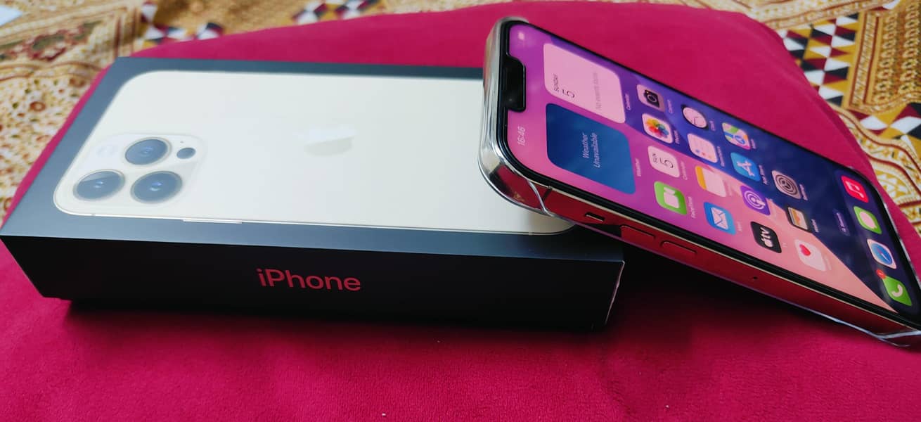 Apple iPhone 13 Pro Max 1