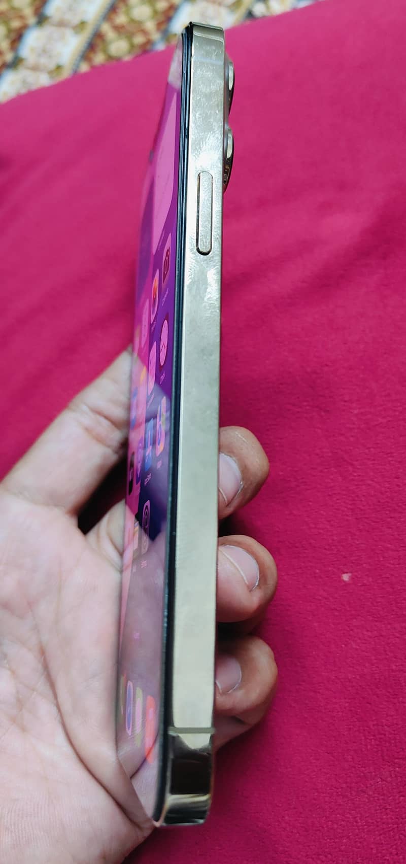 Apple iPhone 13 Pro Max 6