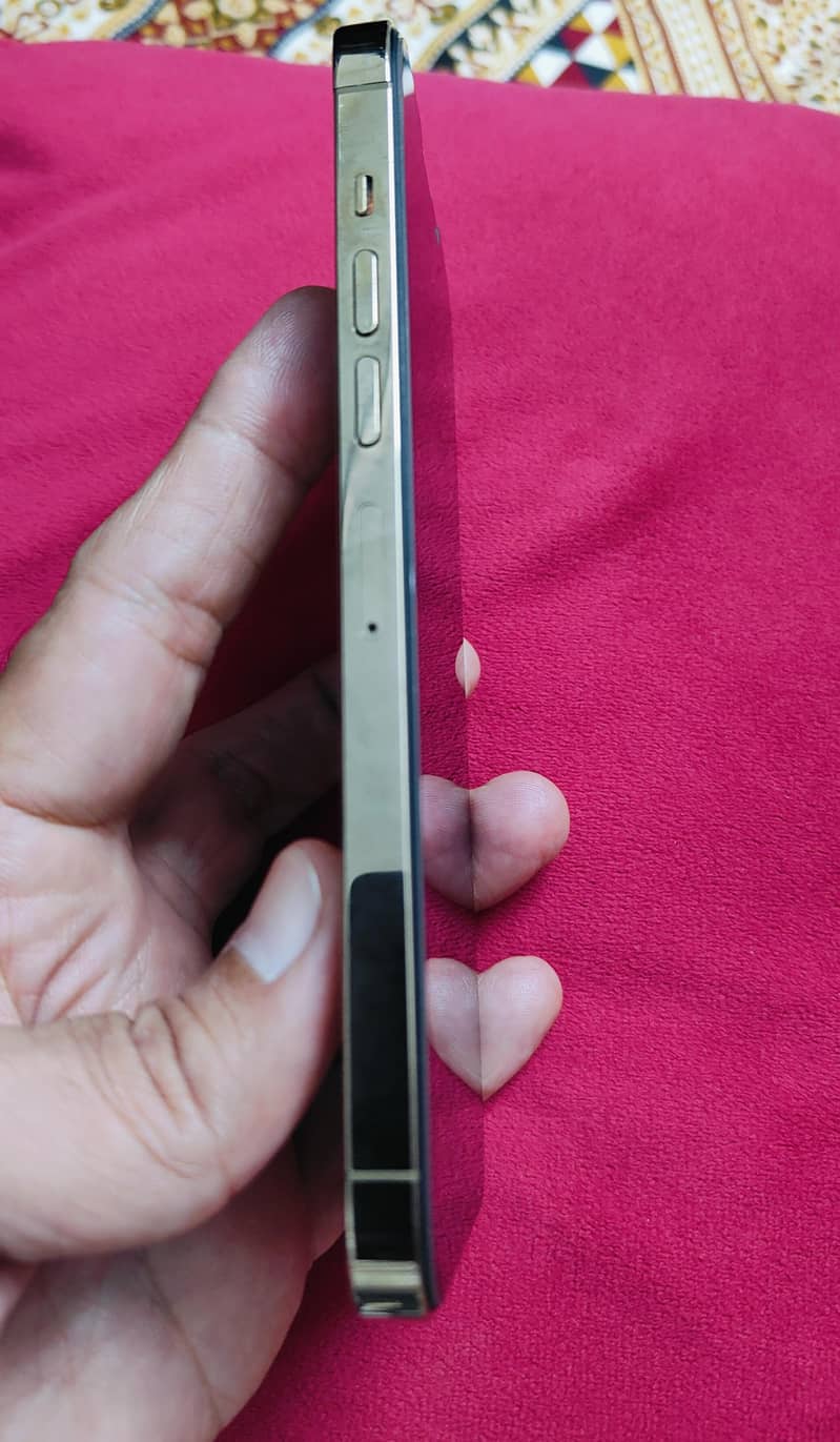 Apple iPhone 13 Pro Max 7