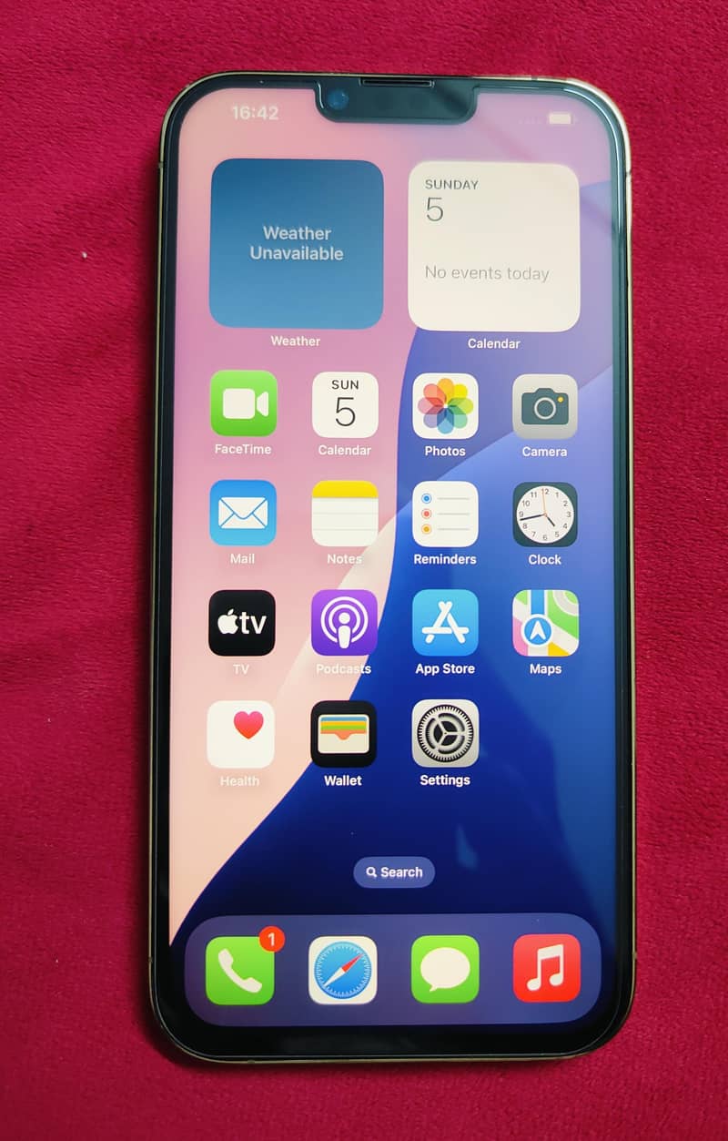 Apple iPhone 13 Pro Max 10