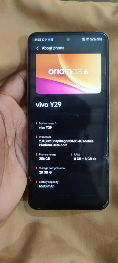 Vivo Y29