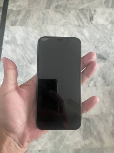 Apple iPhone 12 Pro