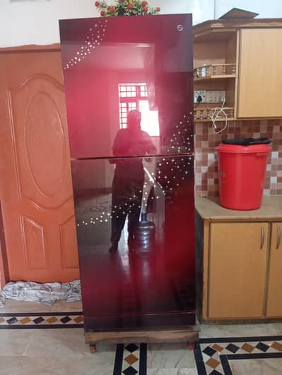 PEL jumbo size glass door refrigerator