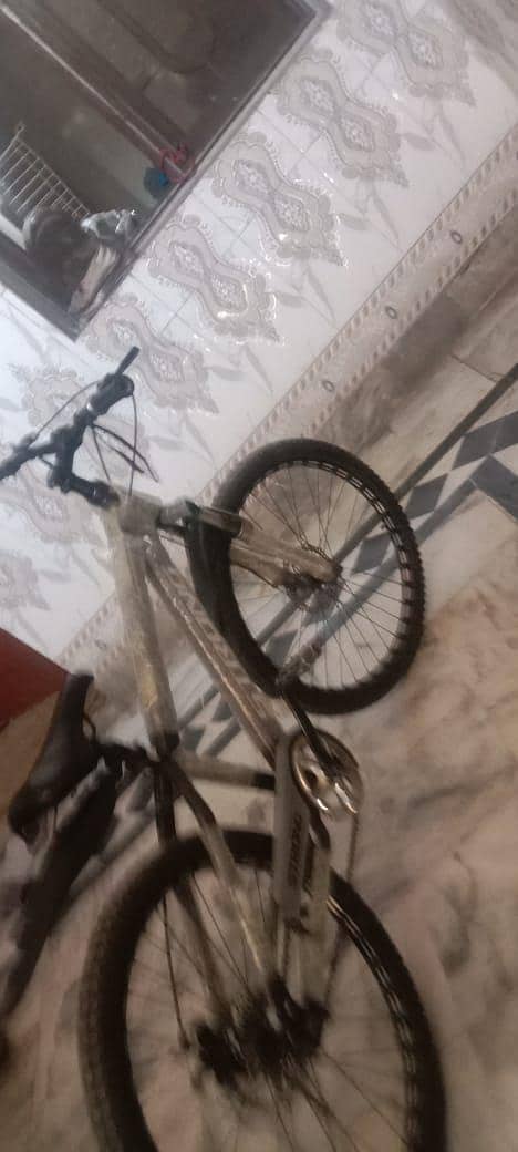 bicycle 2