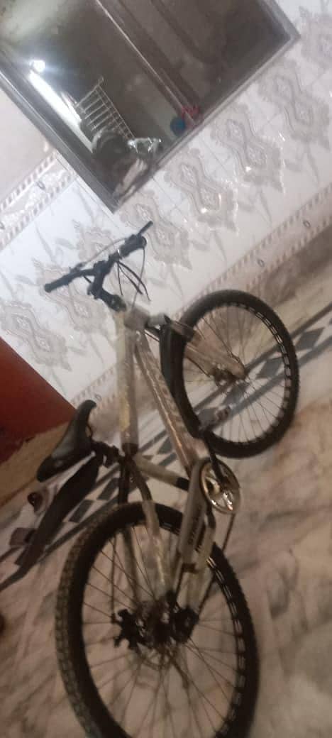 bicycle 6