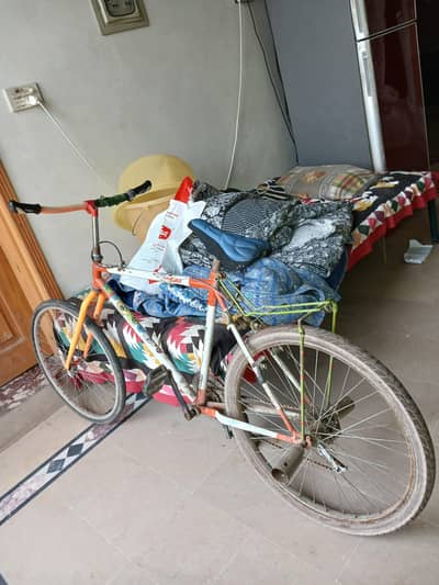 phonix bicycle