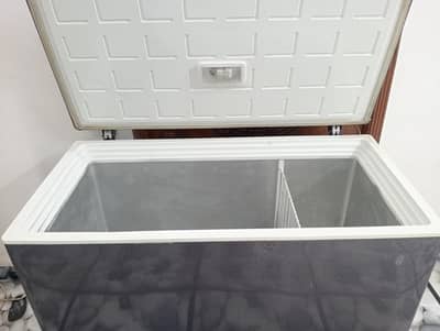 PEL deep freezer single door ganien/0321/0833328/ganien