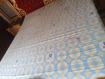 Master molty foam mattress
