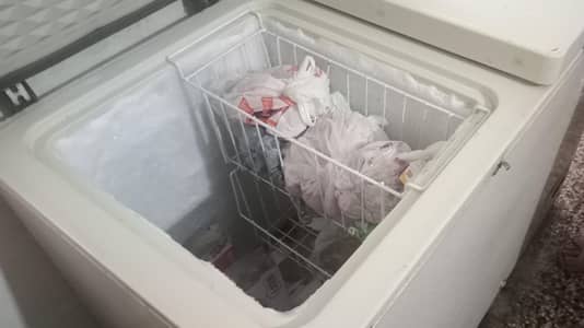 Fridge and Freezer