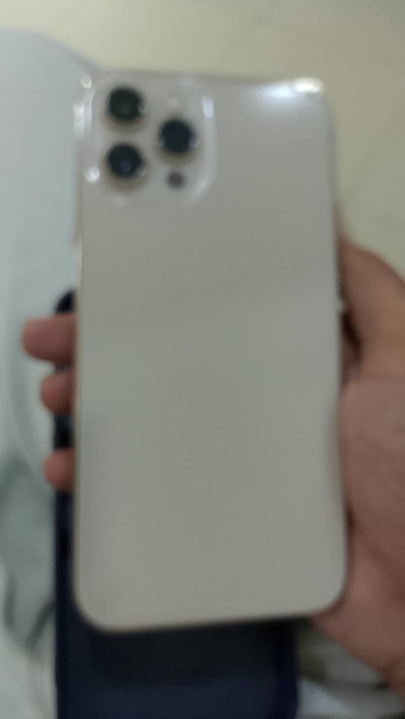 12 pro max 2