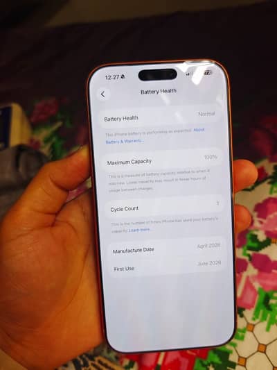 Apple iPhone 17 Pro Max / 1 cycle count