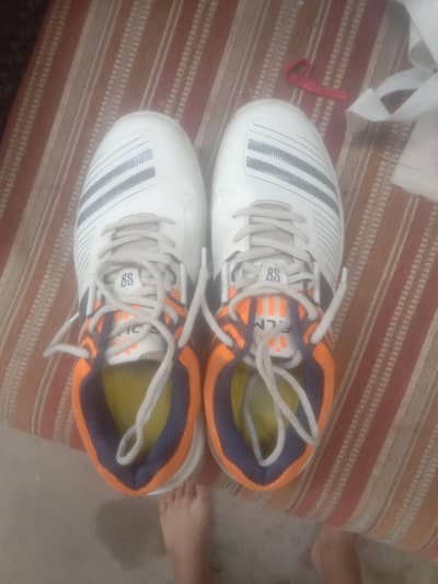cricket grippers Uk 9 solm8 0.3