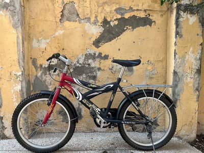 Safari cycle