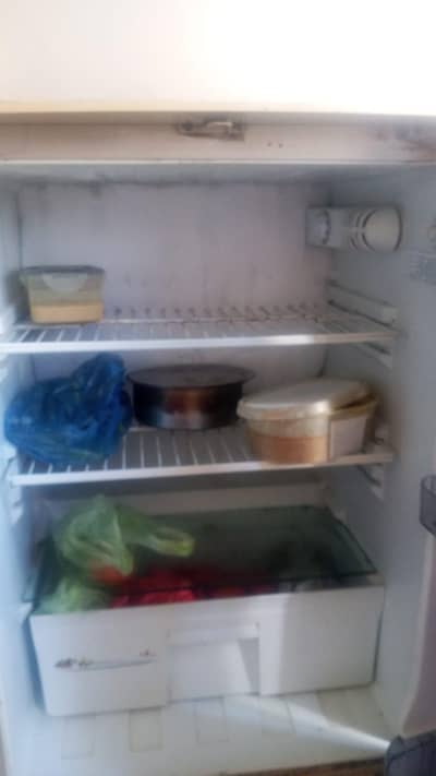 urgently sell shefting