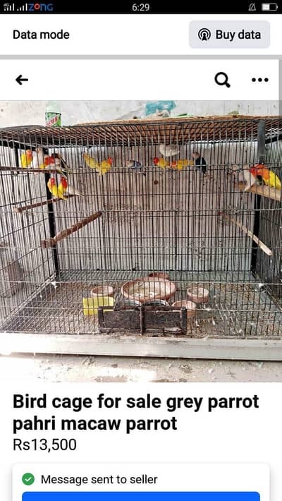 Bird cage for sale grey parrot pahri macaw parrot