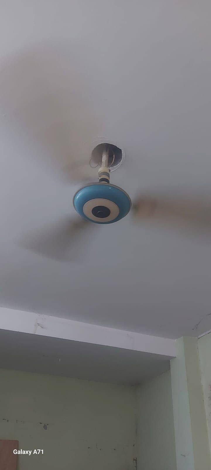 ceiling fan 1