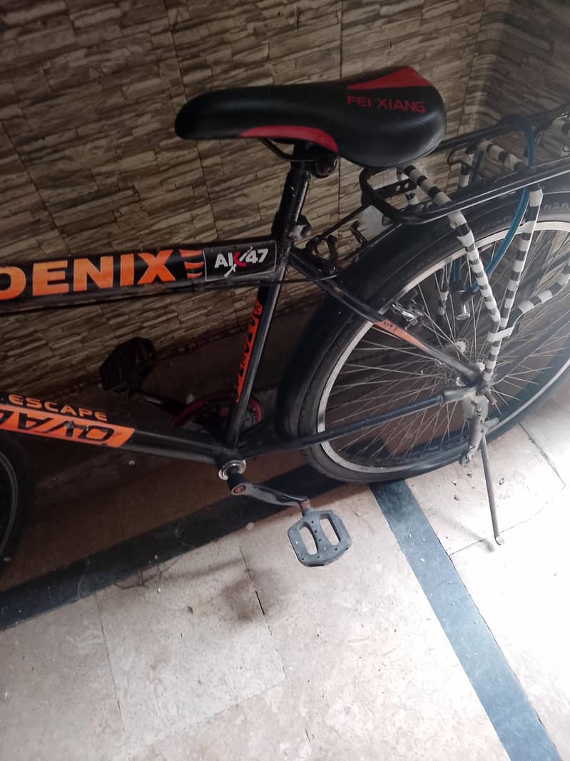 cycle 0