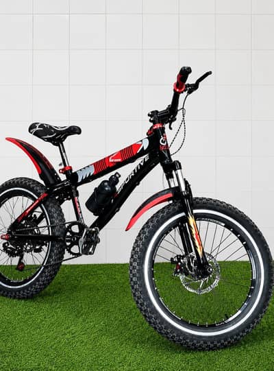 Sportive off reading fat bicycle with front real suspension