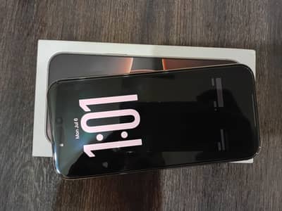 Apple iPhone 16 Pro Max PTA