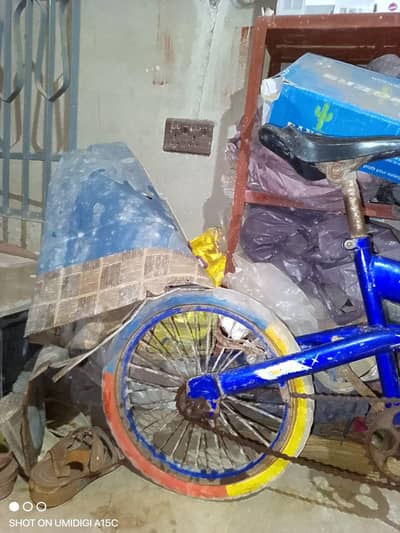 bicycle 