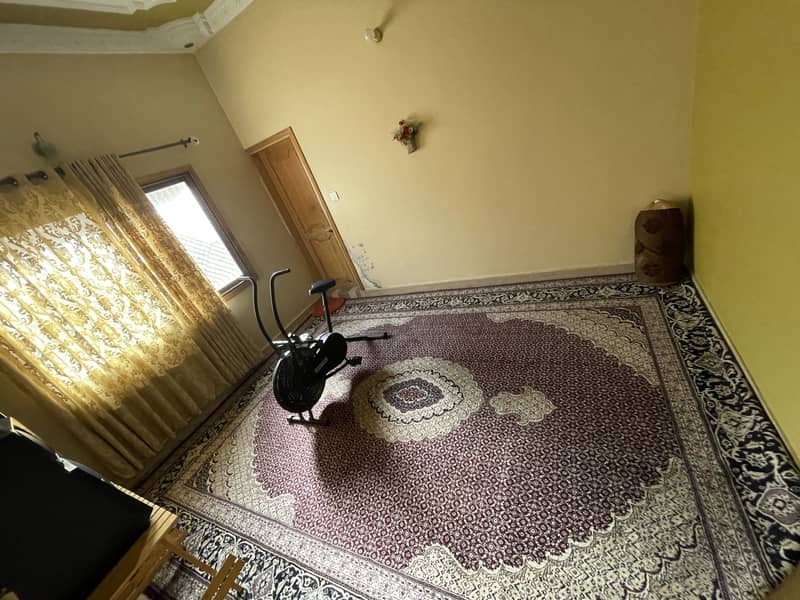 Carpet 5