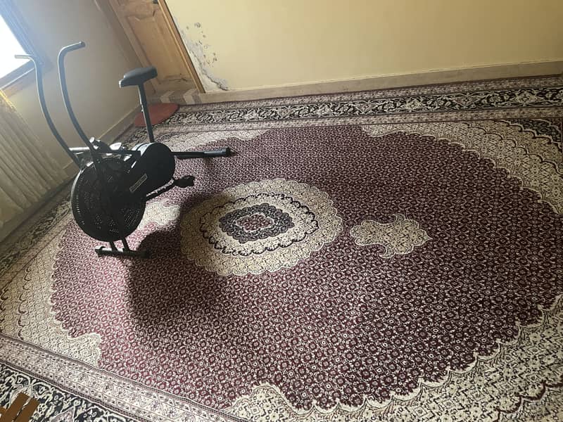 Carpet 6