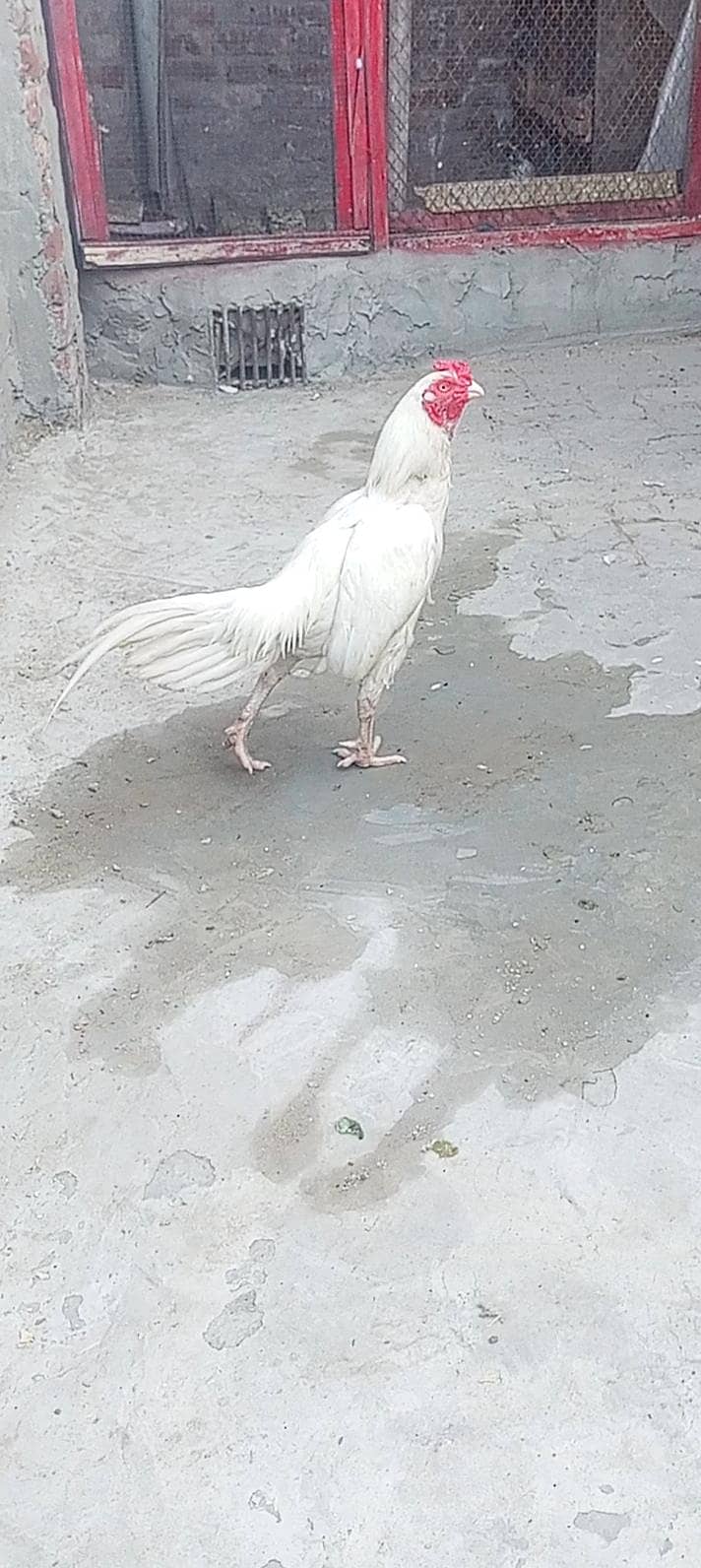10000 1