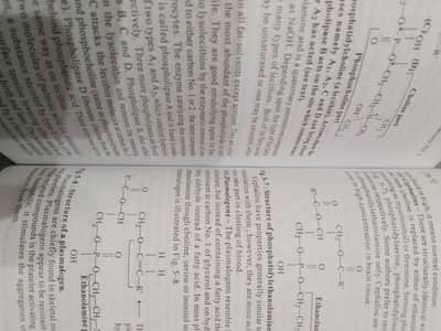 Medical Biochemistry