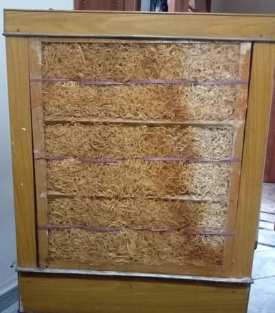 12 volt DC cooler with stand